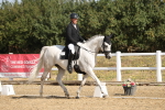 SBM_008498