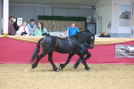 SBM_16568