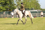SBM_10655