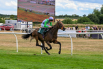 040826-Race 5-Halimede-5457