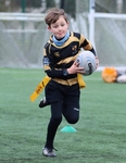Kendal Rugby Mini & Youth Under 8 & Under 9  (1/12/24) portfolio