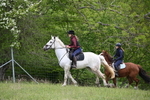 WJ6_1562