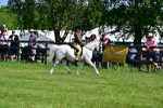 SBM_13952