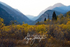 3HPhotography10-6-24_RMNP_0486_