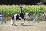 WJ6_8957