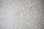 SBM_000941
