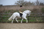 SBM_006035