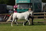 SBM_00767