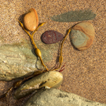 Clogher Beach Face