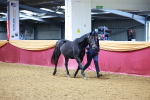SBM_16009