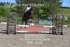 BPP_8536