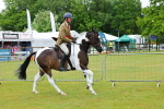SBM_01010