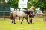 Class 58-67 - M&M Non Welsh Pony In hand portfolio