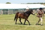 SBM_06854