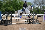 Cls 6A+B Snr British Novice and 90cm portfolio