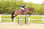 SBM_005524
