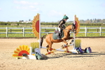 SBM_000264