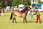SBM_00496