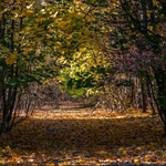 Lenin Avenue