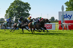 180524-Race 6-Diamondonthehill-Yorkshire-9806