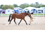 SBM_15322