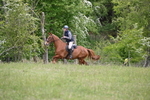 WJ6_1599