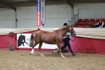 SBM_17432