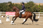 SBM_022506