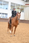 Class 30,31 - SSADL Ridden Seniors portfolio