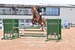 BPP_0331