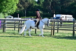 SBM_19875