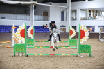 SBM_001375