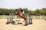 SBM_001811