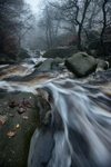 Padley Gorge