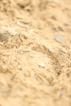 SBM_000289