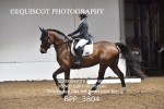 BPP_3804