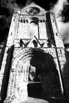 Jedburgh Abbey - 8433