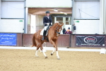 SBM_003307