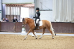 SBM_000522