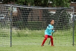0481_AMT_4866