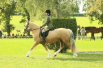 SBM_62651
