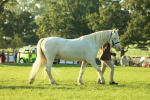 SBM_57298