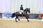 SBM_004046