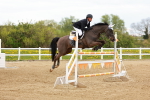 SBM_002833