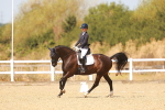 SBM_018393