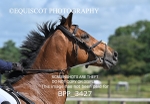 BPP_3427