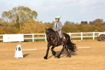 SBM_003287
