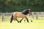 SBM_00803