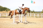 SBM_000964