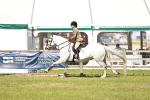 SBM_18536